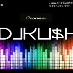 2014 2015 Soca Mix - DJKU$H 2