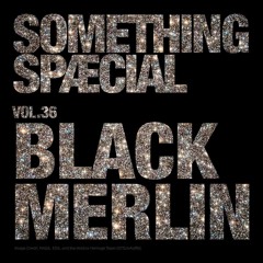 BLACK MERLIN - SPÆCIAL MIX 36