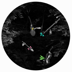 Antonia (Pat Metheny) played live by Freiraum Syndikat