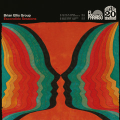 Brian Ellis Group: "Via De Mi Rancho"