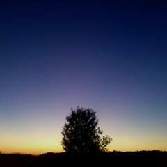 Savaitė Tylos - Šiūrenantys Vėjai