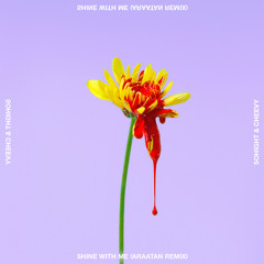Sohight & Cheevy - Shine With Me (Araatan Remix)