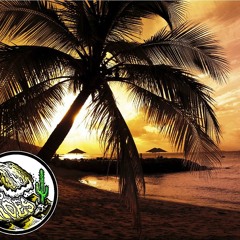 Endless Summer
