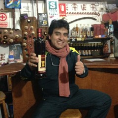 Musica Folk Andina - William Luna, Gaitan Castro, Proyeccion, Kjarkas