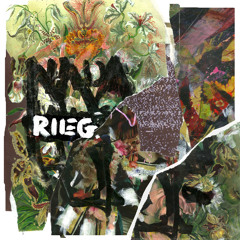 Rieg - I Dont Know