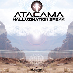 Atacama - Halluzination Speak