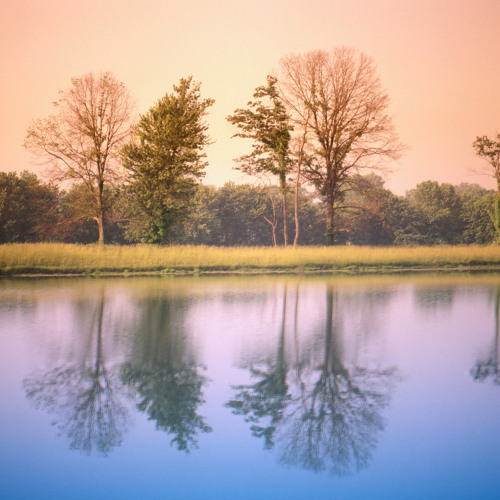 Stream Score for MelcherPrescott Insurance Company TV advertisement