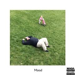Salami Johnson - Mood (Prod. By: Eevee)