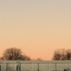Corrugated Sunset
