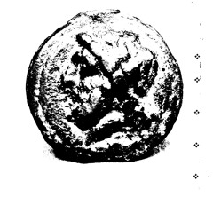 Grant Evans - Autumn Fern (excerpt)