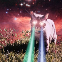 Pete's Funky Pajamas> Rollin' Down Jah Way (live)