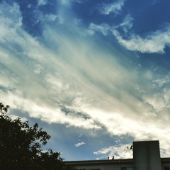 To Look Up, To Wonder