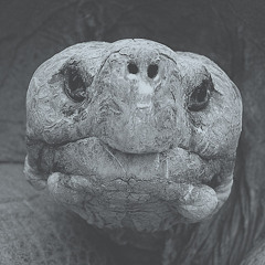 Words About Life and Love