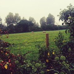 O Lord You're Beautiful (Keith Green Cover)