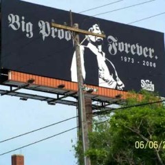 Cali Trip - BIG Proof