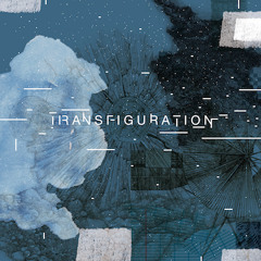Jim Perkins  - Transfiguration