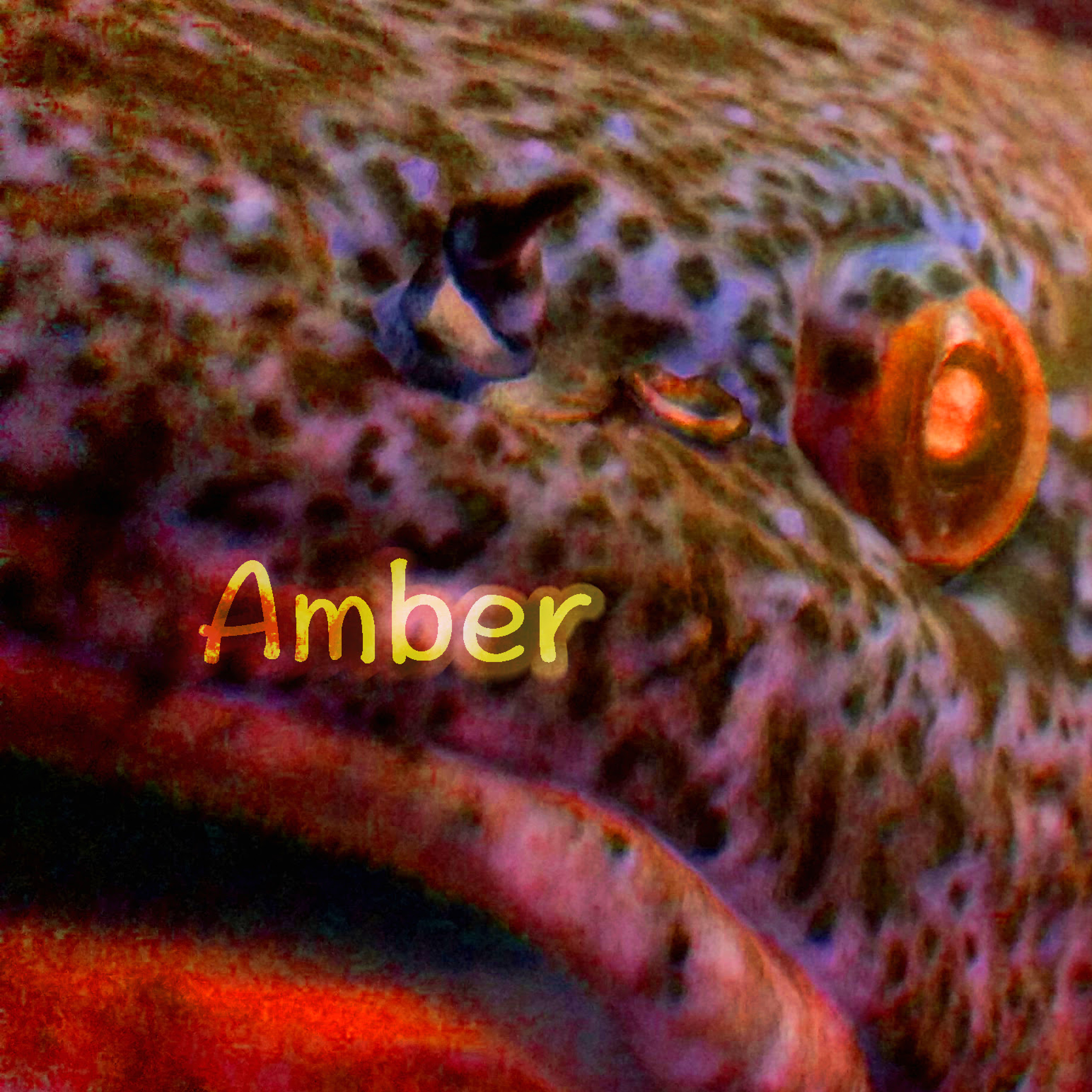 Amber (feat DZY Stampede) episode artwork