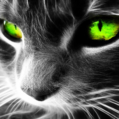 Music I like to listen to when I'm drawing