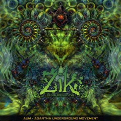 02.ZIk-Hey Baba ( Album Preview )Freak on a Leash