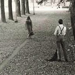 قصيدة سَنَلتَقي - محمد عزمي
