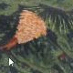 Sabagebu! - ED (Brown Remix)