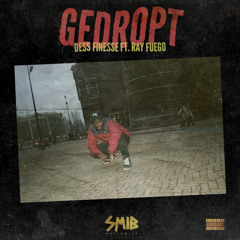 DESS FINESSE FT. RAY FUEGO - GEDROPT(PROD. BY GRGY)