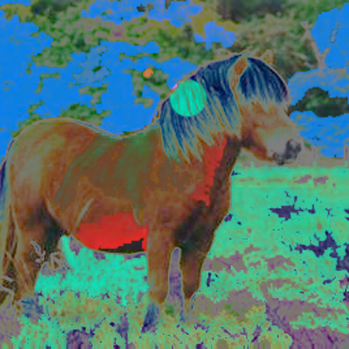 MOAR - I WANNA HORSE (DEMO)