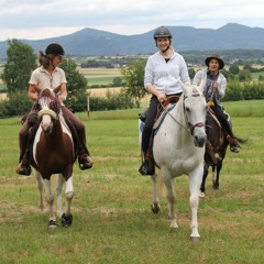 "Ich könnte Tage so weiterreiten"