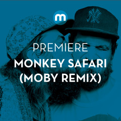 Premiere: Monkey Safari 'Walls' (Moby Remix)