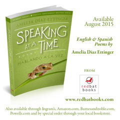 Amelia Díaz Ettinger - Speaking At a Time (Hablando a la Vez)