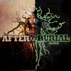 After The Burial - Cursing Akhenaten (Robbie Searles Cover)