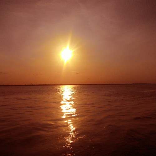 Duong Xua Loi Cu - Nhu Quynh