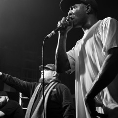 Jedi Mind Tricks - Animal Rap (Mr Concept Remix)