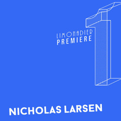 Nicholas Larsen - Vibes