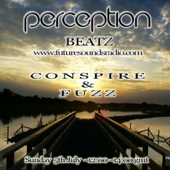 Fuzz - Perception Beatz Guest Mix 5th July