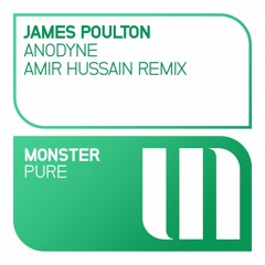 James Poulton - Anodyne (Amir Hussain Remix - Preview)