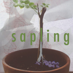 Sapling