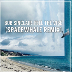Bob Sinclar - Feel The Vibe Feat Dawn Tallman (SpaceWhale Remix)