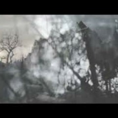 SPHP - asylum beat (950, EPS16+, cassette)