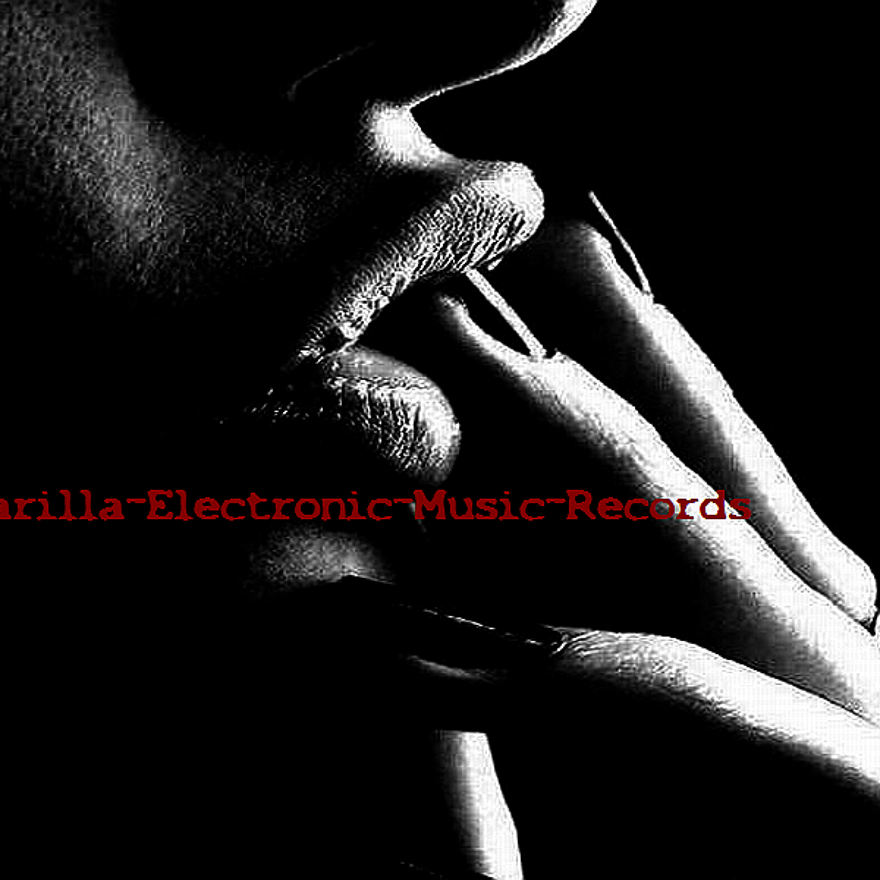 Camarilla EMR 竜