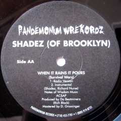 Shadez Of Brooklyn - When It Rains It Pours (Survival Warz)