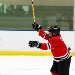 UNBELIEVEABLE GOAL HORN