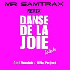 Gad Elmaleh & LiMa Project - Danse De La Joie (Mr Samtrax Rmx) FREE
