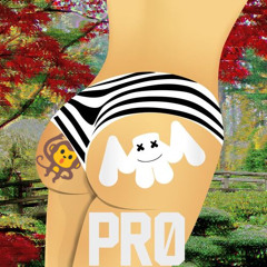 x marshmello - Pr0