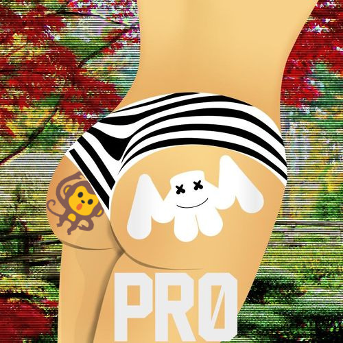 x marshmello - Pr0