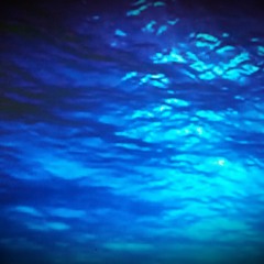 Daylight Fades - (Rock)