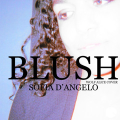 Blush (Wolf Alice cover)