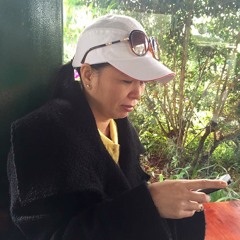 chuyến đò không em