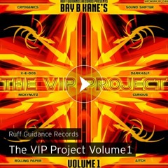 Bay B Kane - Im Alive [Curious VIP]
