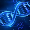 Future Dna Hzafromtheblock Edit Mp3